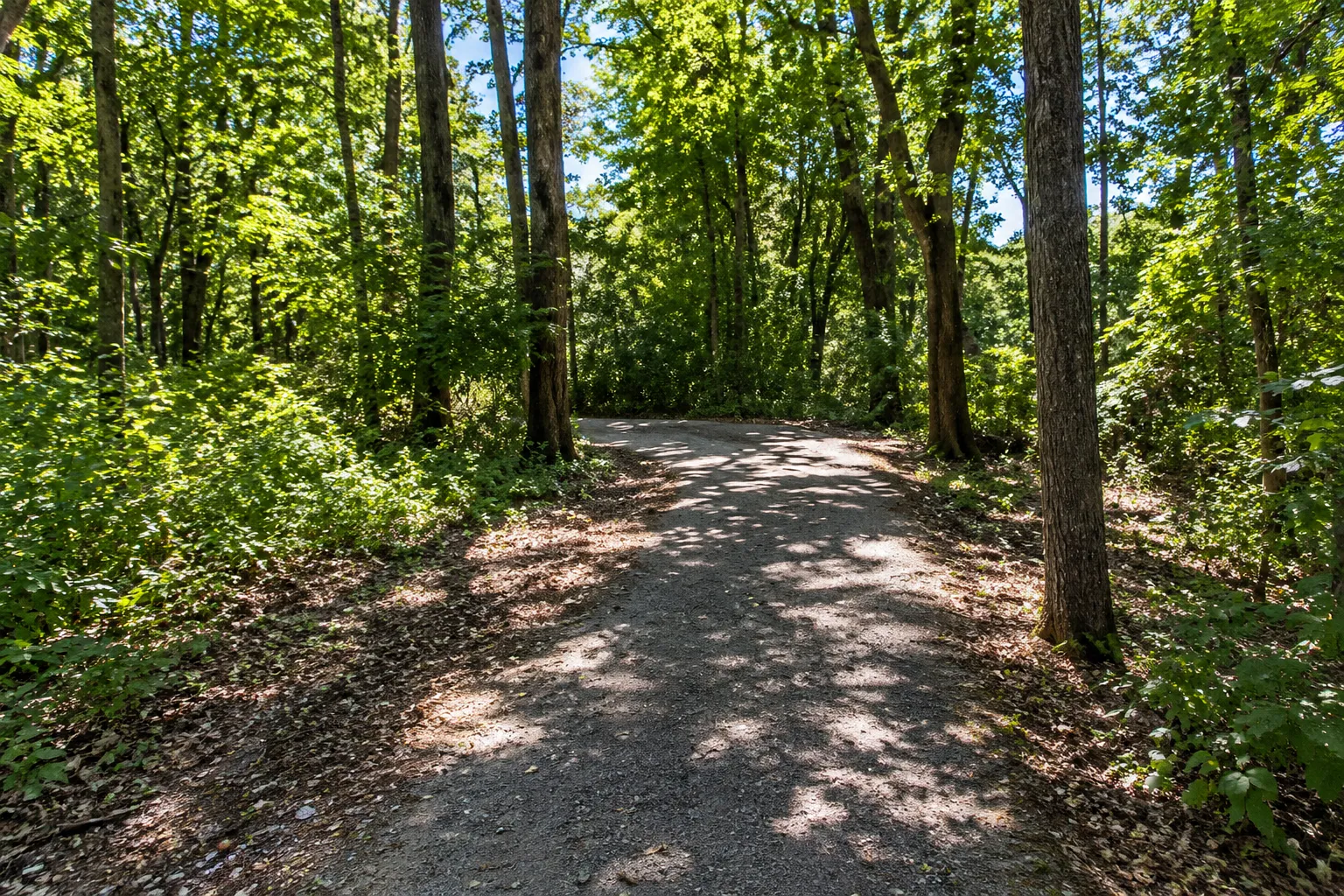 Wooded walking trails